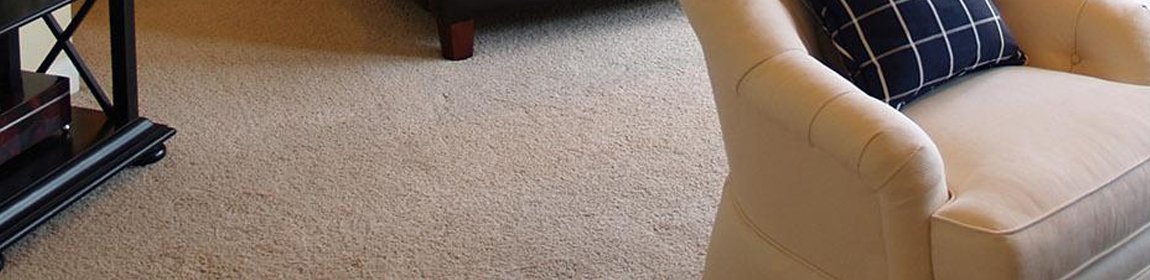 steam carpet cleaning in london